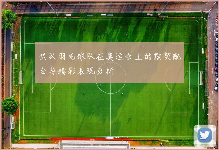 武汉羽毛球队在奥运会上的默契配合与精彩表现分析