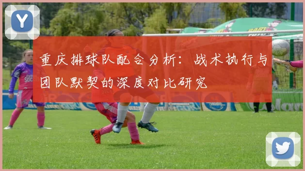 重庆排球队配合分析：战术执行与团队默契的深度对比研究