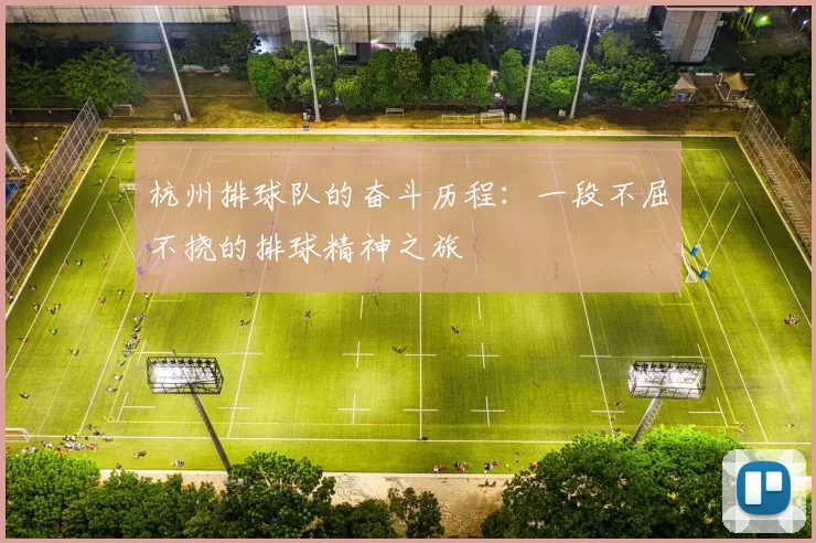 杭州排球队的奋斗历程：一段不屈不挠的排球精神之旅