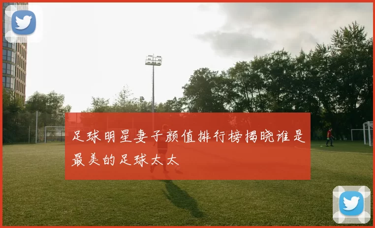 足球明星妻子颜值排行榜揭晓谁是最美的足球太太