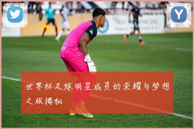 世界杯足球明星成员的荣耀与梦想之旅揭秘