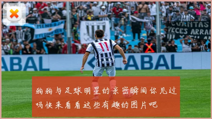 狗狗与足球明星的亲密瞬间你见过吗快来看看这些有趣的图片吧