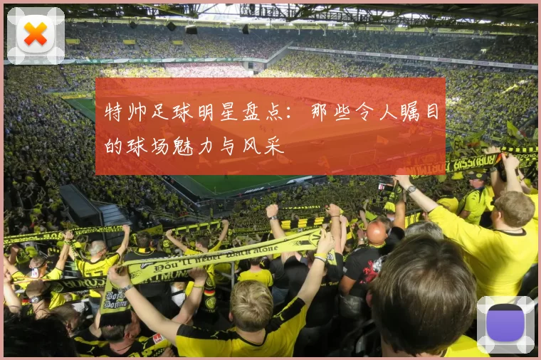 特帅足球明星盘点：那些令人瞩目的球场魅力与风采