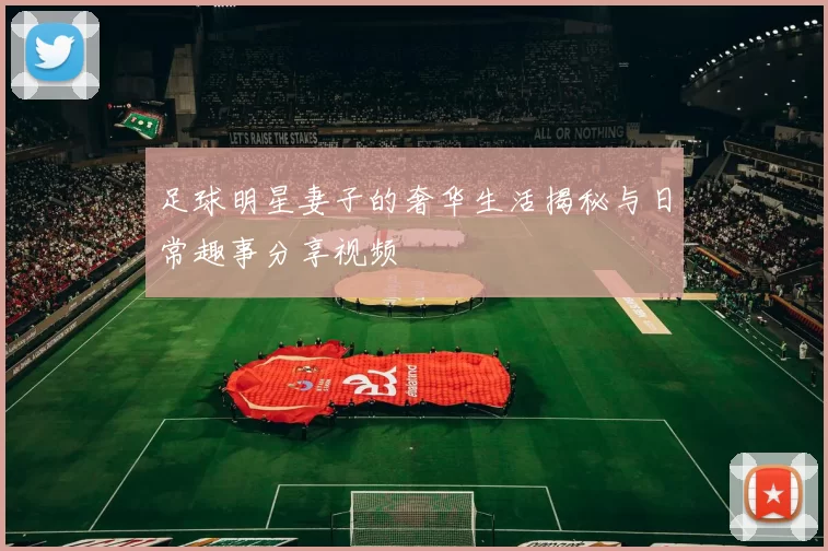 足球明星妻子的奢华生活揭秘与日常趣事分享视频