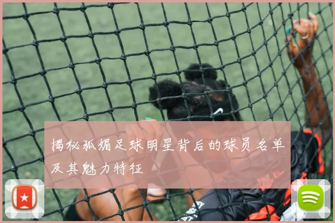 揭秘狐媚足球明星背后的球员名单及其魅力特征
